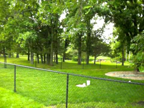 Black Chain Link Fence Video