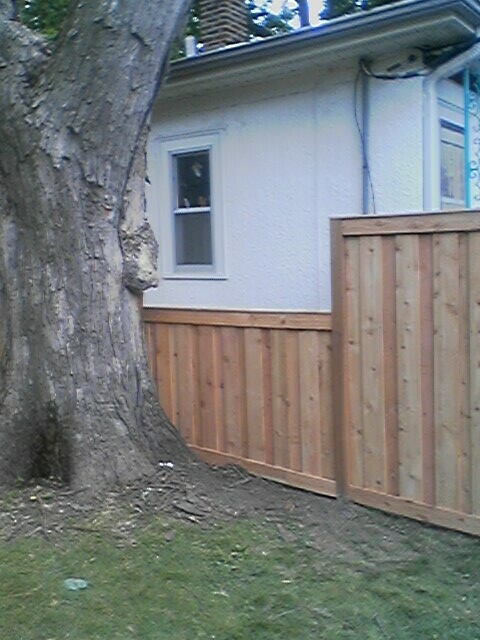 Cedar framed batten board privacy fence installation Minneapolis, Minnesota