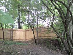 Cedar Batten Board Fence