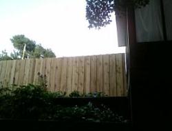 Cedar Batten Board Fence