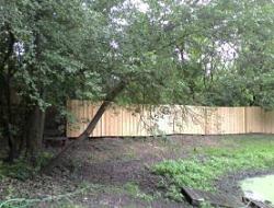 Cedar Batten Board Privacy Fence Deep Haven, Minnesota