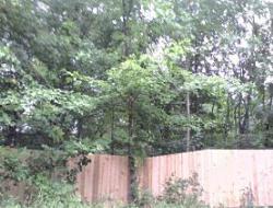 Cedar Batten Board Privacy Fence Deep Haven, Minnesota