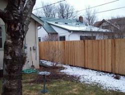 Cedar Batten Board Fence