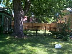 Steel or Aluminum Pool Ornamental Wrought Iron Fence Installation Minneapolis, Minnesota